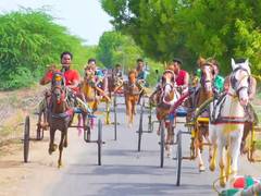 
      
      Horse cart race organised at Ariyanachi Temple in Rameswaram
      
      