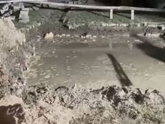 
      
      Greater Noida: 6-year-old drowns in water-filled pit
      
      