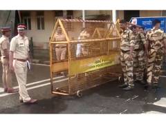 
      
      Mumbai Police tighten security ahead of Thackeray brothers joint
      
      