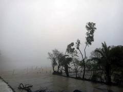 
      
      IMD forecasts heavy to very heavy rainfall in Odisha
      
      