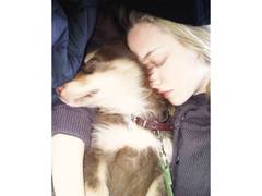 
      
      Amanda Seyfried mourns death of beloved dog Finn at 16
      
      