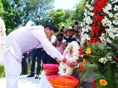 
      
      Uttarakhand CM Dhami pays tribute to soldiers
      
      