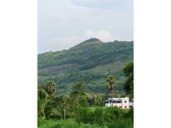
      
      Hanuman's Sanjeevani link believed to form Beedumala Hills
      
      