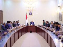 
      
      Yemen PM pledges to fight Houthis and secure Red Sea shipping
      
      