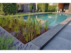 
      
      EcoScapes Landscaping Collaborates with Fluidra India 
      
      