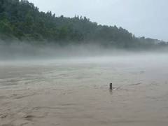 
      
      Ganga nears danger level in Rishikesh amid heavy rainfall
      
      