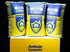 
      
      Ambuja Cements Q1 EBITDA rises 8.5% QoQ to Rs 1,589 crore
      
      