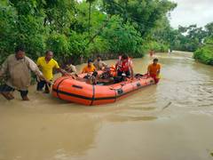 
      
      Odisha: NDRF teams engage in rescue, safe evacuation of livestock
      
      