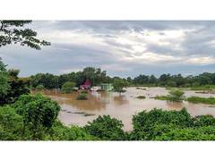 
      
      Odisha: Oppn slams state govt over 'inadequate' flood response
      
      