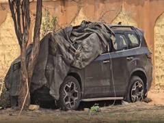 
      
      Army Major killed, 2 Lieutenants injured as SUV hits camel
      
      