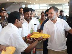 
      
      Rahul Gandhi to interact with TN Cong leaders on last day of camp
      
      