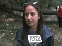 
      
      Uprooted Deodar tree blocks road near CM's official residence
      
      