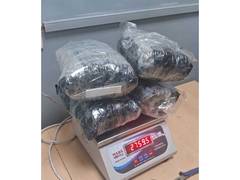 
      
      2.7 kg hydroponic weed seized at Delhi airport
      
      
