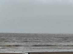 
      
      Surat police extends closure of Dumas Beach till August 7
      
      