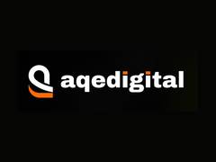 
      
      ACE Software Posts Earnings Turnaround
      
      