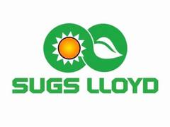 
      
      Sugs Lloyd Q1 profit rises 30% to ₹7.5 crore
      
      