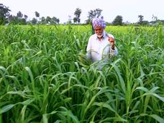 
      
      Every Rs 1 invested under KCC interest subsidy scheme generates
      
      