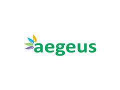 
      
      Aegeus Technologies Limited Announces Opening of IPO
      
      