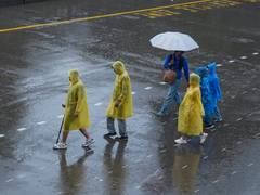 
      
      Schools to remain closed today in Dehradun due to heavy rainfall
      
      