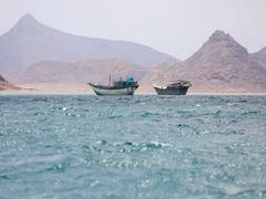 Shipping through Hormuz declines as Red Sea traffic drops to lowest since June 1: S&P Global