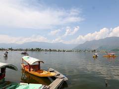 
      
      Jammu and Kashmir surges ahead as PoJK faces crisis
      
      
