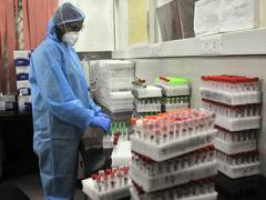 
      
      Centre deploys NJORT to tackle Chandipura outbreak
      
      