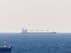 
      
      Yemen denounces Houthi attack on Indian cargo vessel in Red Sea
      
      
