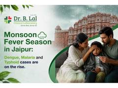 
      
      Monsoon Fever Season in Jaipur
      
      