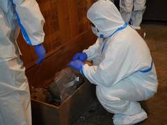 
      
      BHU launches genetic, archaeological study on Rajghat skeleton
      
      