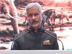 Jaishankar hails Gandhi's African legacy at Africa Day event