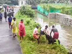 
      
      Flood situation remains bad in Keralam's Kuttanad
      
      