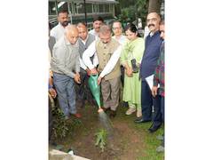 
      
      Himachal CM launches week-long afforestation drive
      
      