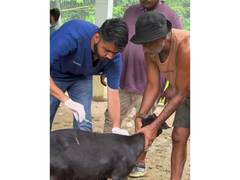 
      
      Assam CM lauds Vantara Foundation for wildlife rescue support
      
      