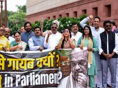 Opposition MPs to protest over Jantar Mantar action, Ram Mandir funds