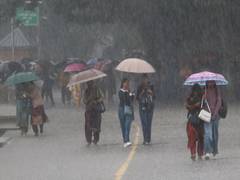 
      
      Himachal Pradesh to witness heavy monsoon from Aug 10
      
      