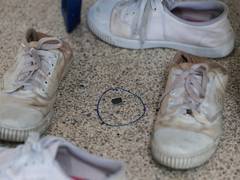 
      
      Eight killed, 22 injured in Thailand school shooting
      
      