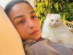 
      
      Alia Bhatt shares adorable selfies with her cat Edward
      
      
