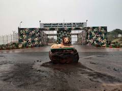 
      
      100-hectare enclosure for lions involved in human attacks
      
      