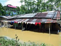 
      
      Assam floods death toll reaches 100 amid widespread devastation
      
      