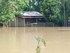 
      
      52,000 affected by floods in Assam
      
      