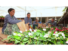 
      
      Young innovators drive India’s next agricultural revolution
      
      