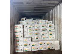 
      
      India dispatches 8 MT of life-saving medicines to Bolivia
      
      