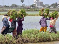 
      
      Four Centres of Excellence to be set up in Gujarat
      
      