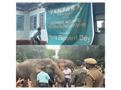 
      
      World Elephant Day: Vantara expands elephant welfare outreach
      
      