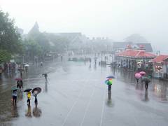 
      
      Himachal: 75 killed in 44 days, damage crosses Rs 911 crore
      
      