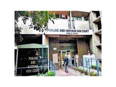 
      
      Punjab & Haryana HC stays pharmacy officers' recruitment process
      
      