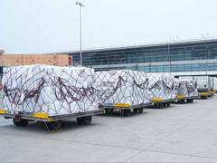
      
      India dispatches first tranche of relief material to Colombia
      
      