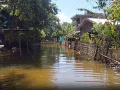 
      
      Bihubor’s flood survivors face new battle after water recedes
      
      