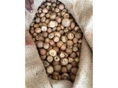 
      
      DRI uncovers Rs 2,500 crore customs duty fraud in areca nut impor
      
      