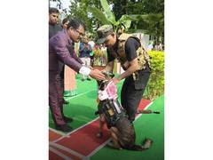 
      
      K9 Leon, Kaziranga's 